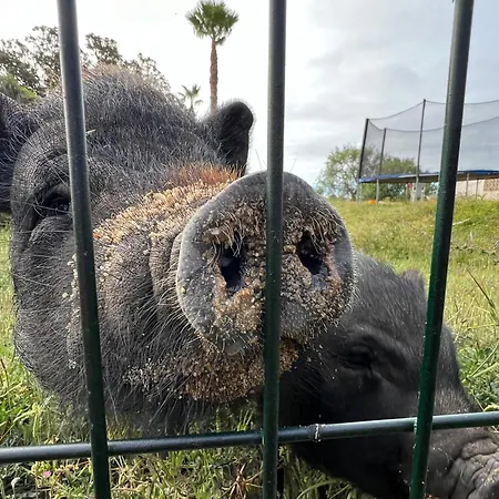 Hostel Ws Family Almádena